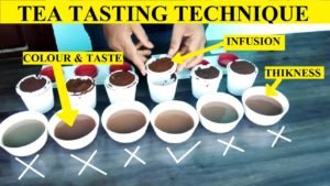 tea tasting